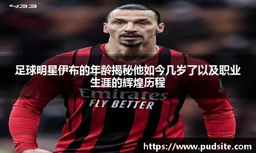足球明星伊布的年龄揭秘他如今几岁了以及职业生涯的辉煌历程