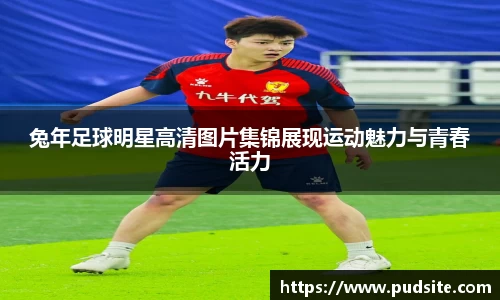 兔年足球明星高清图片集锦展现运动魅力与青春活力
